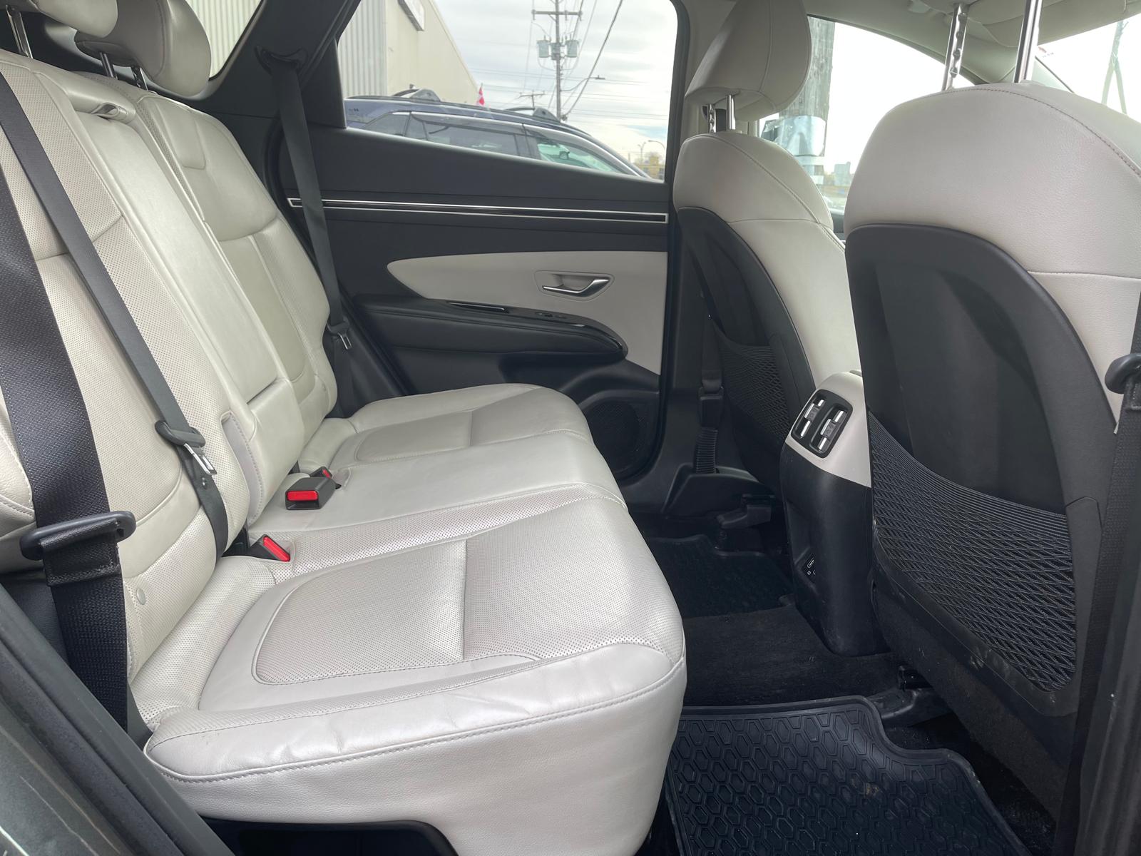 PHOTO-2026-03-18-17-13-55 24.jpg