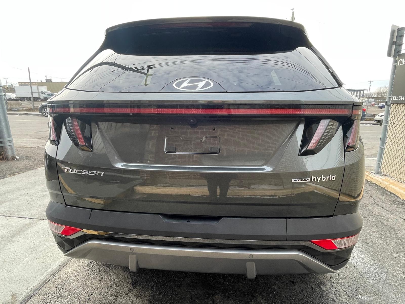 PHOTO-2026-03-18-17-13-55 3.jpg