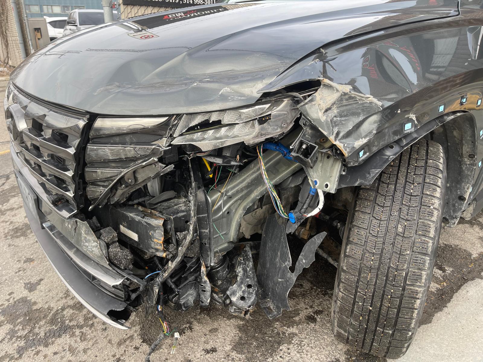 PHOTO-2026-03-18-17-13-55 13.jpg