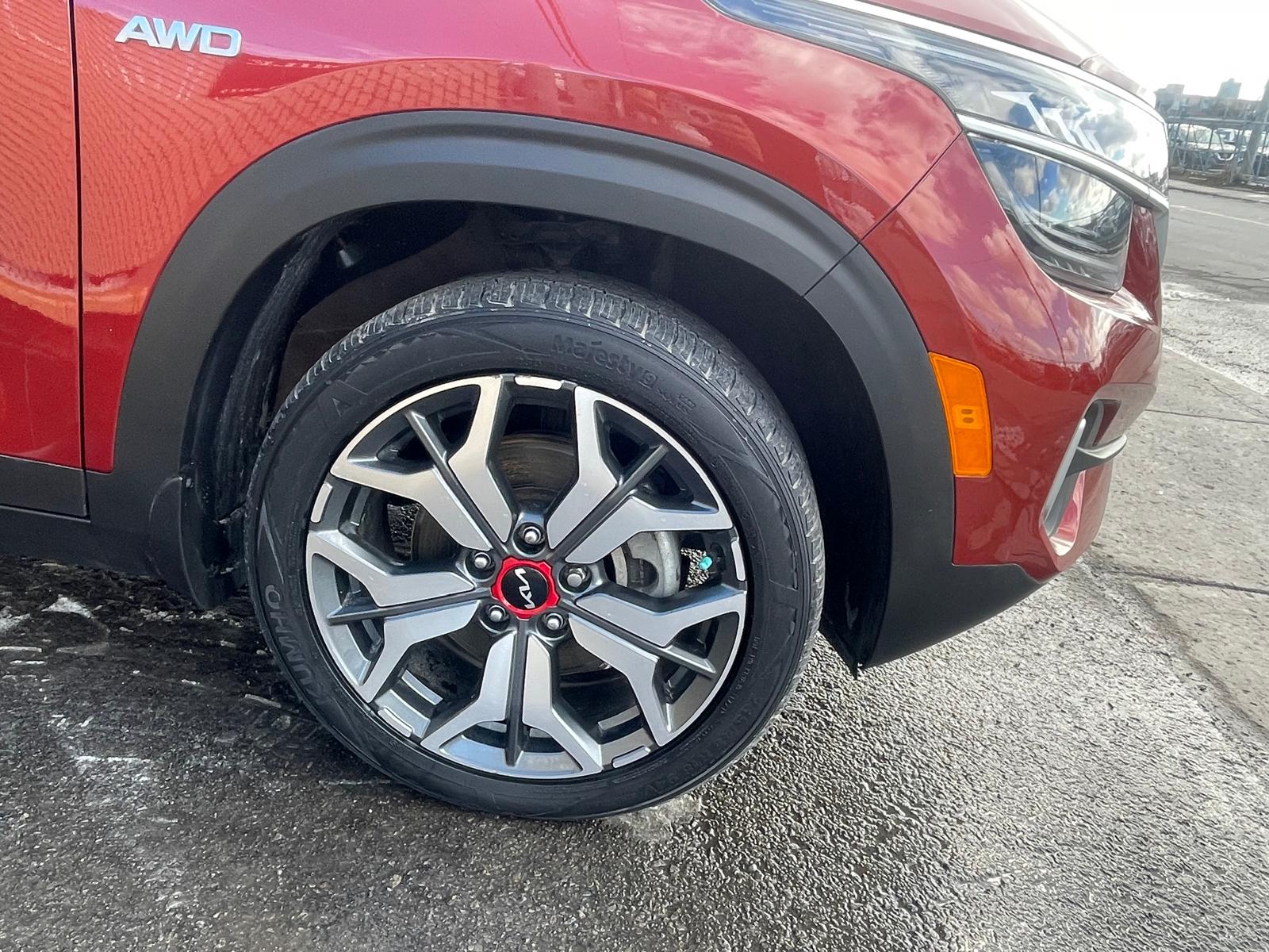 PHOTO-2026-03-21-16-38-51 2.jpg