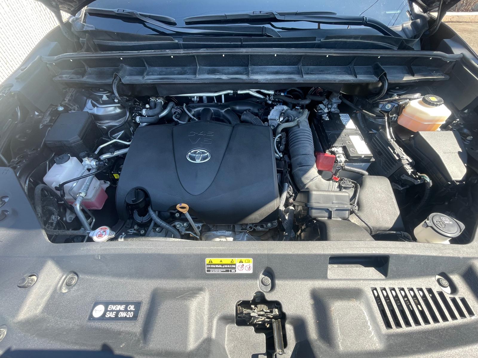 PHOTO-2026-04-08-13-56-55 8.jpg