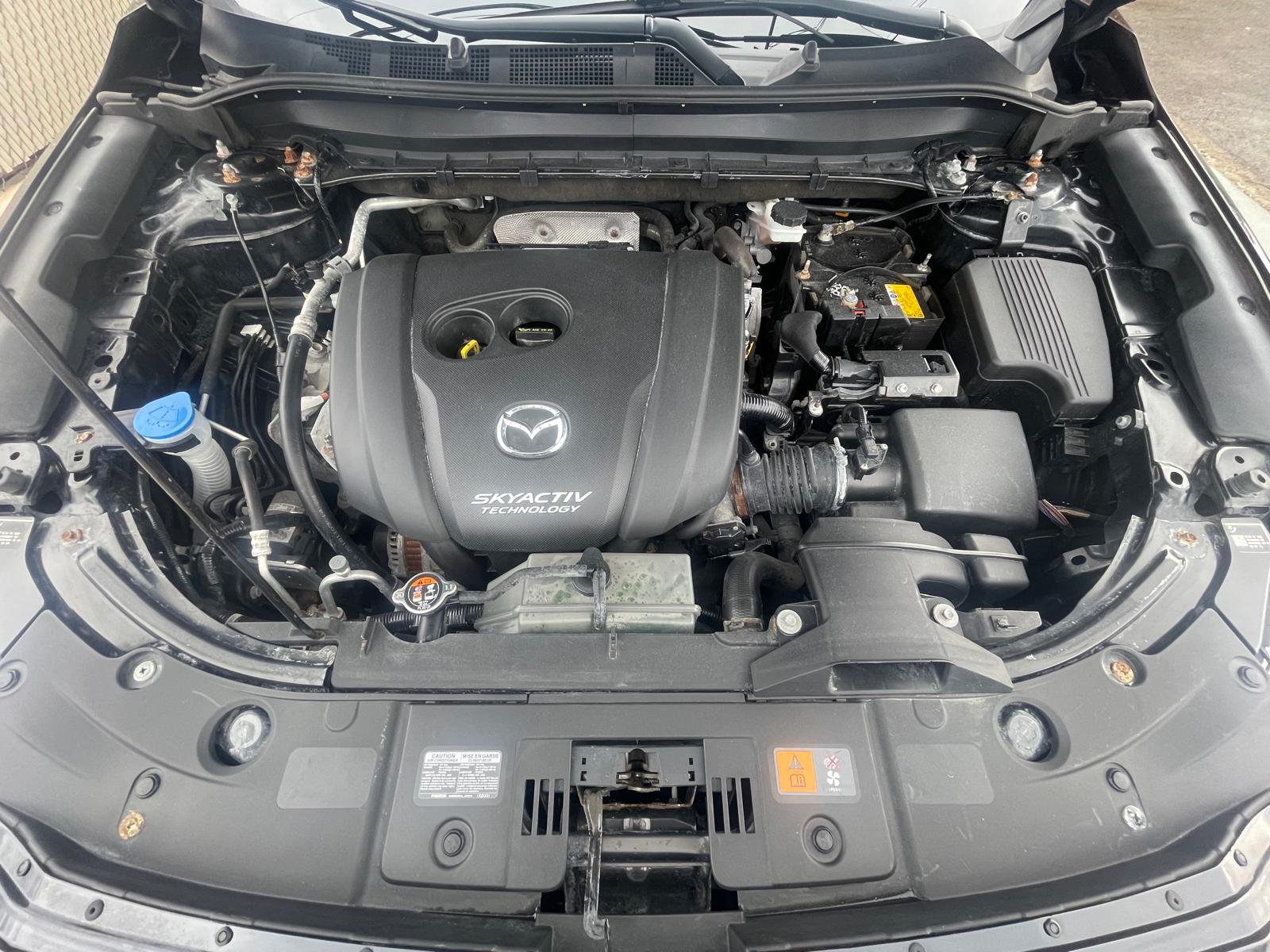 PHOTO-2026-04-09-17-30-26 24.jpg