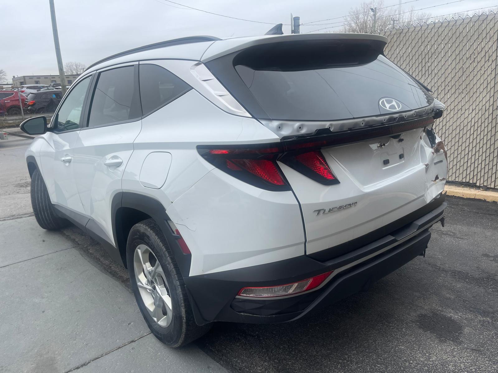 PHOTO-2026-04-14-11-22-20 6.jpg