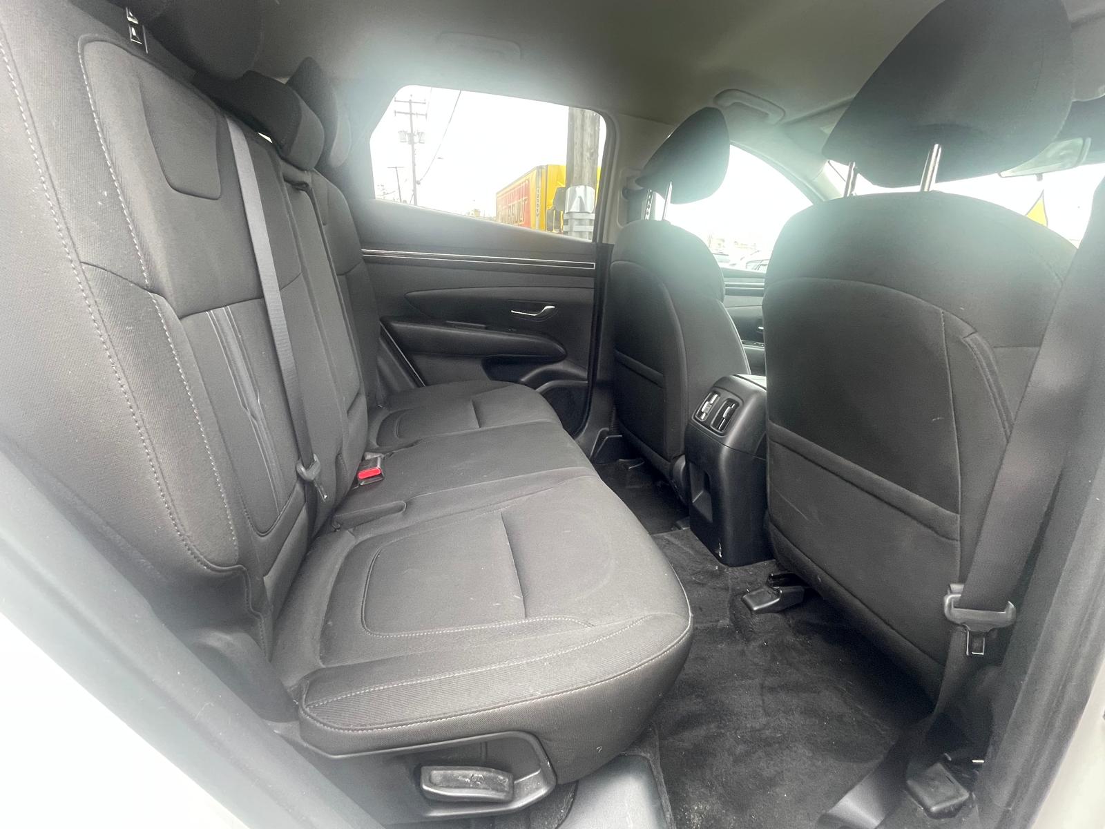 PHOTO-2026-04-14-11-22-20 24.jpg