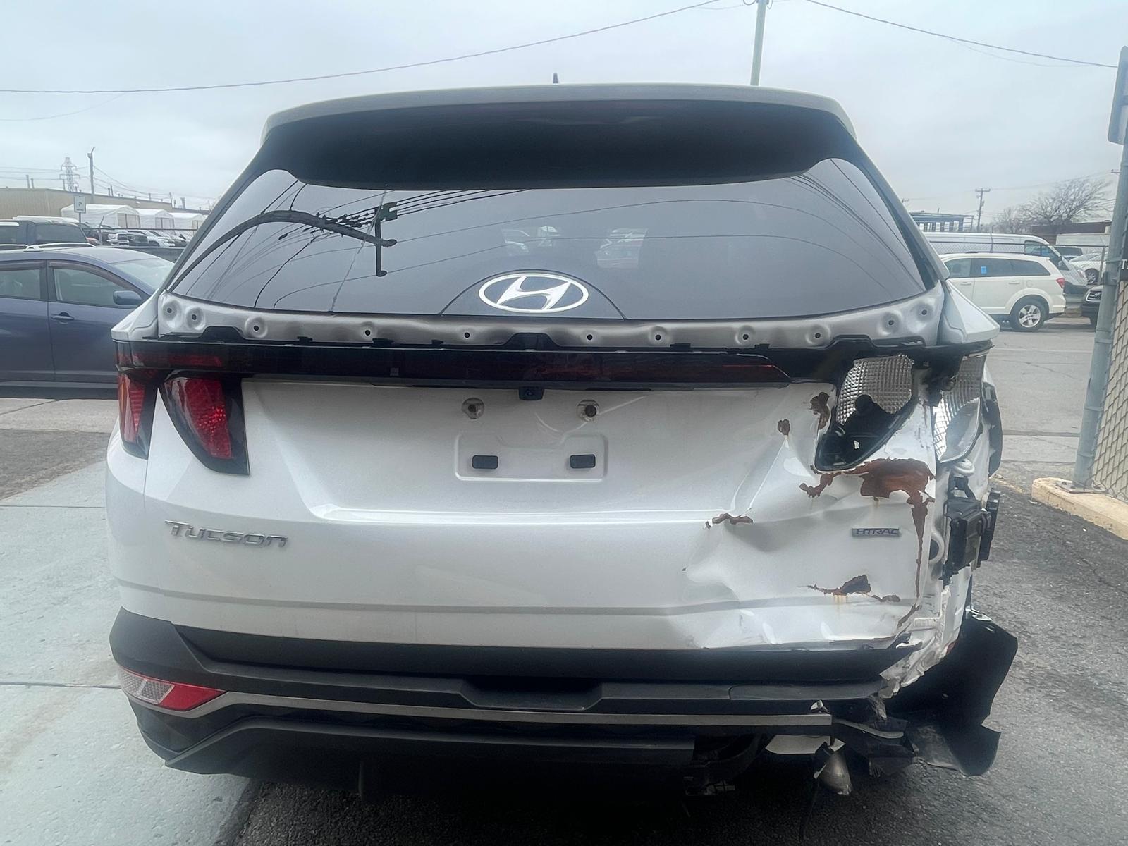 PHOTO-2026-04-14-11-22-20 5.jpg