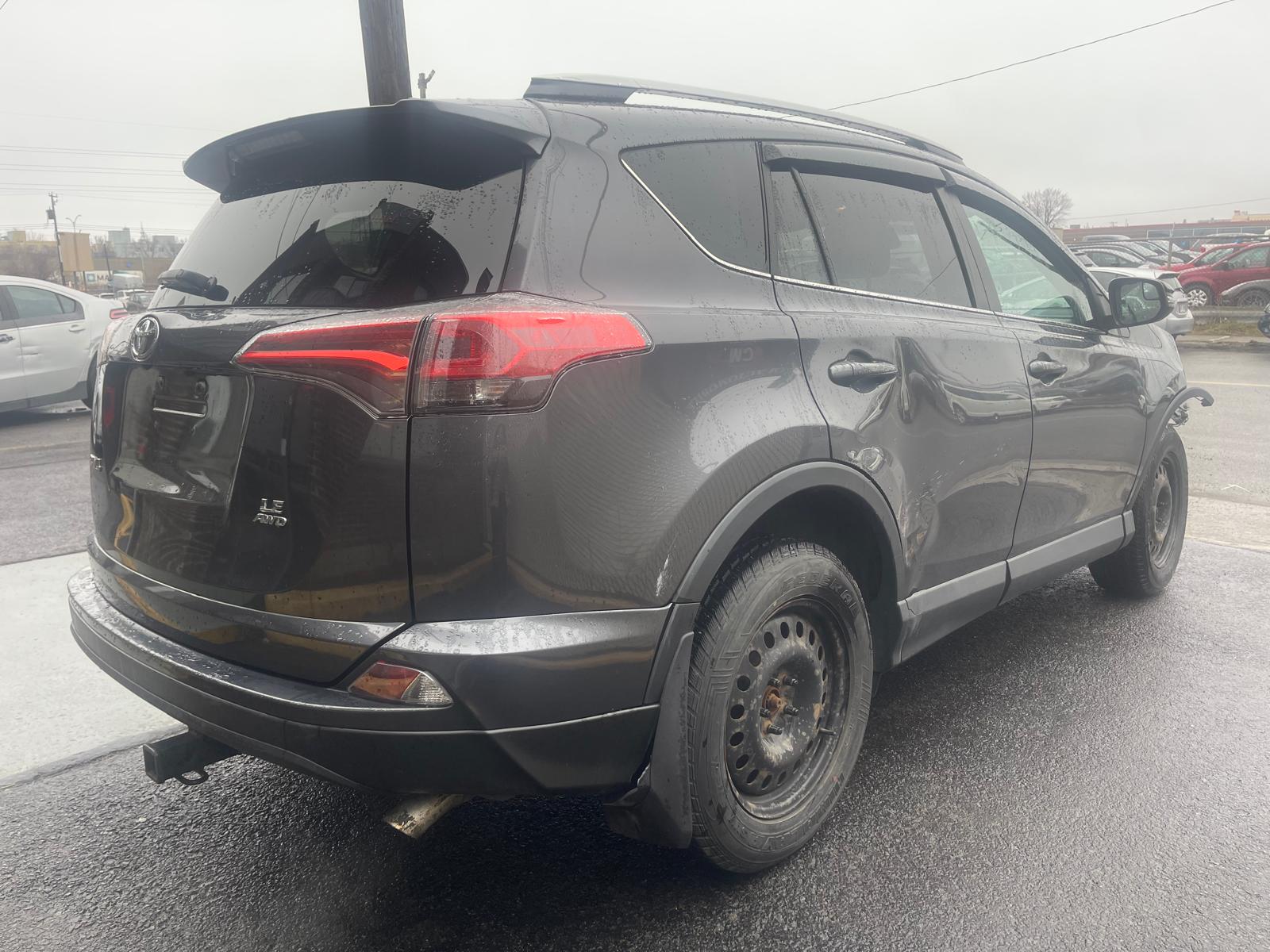 PHOTO-2026-04-15-12-33-30 4.jpg