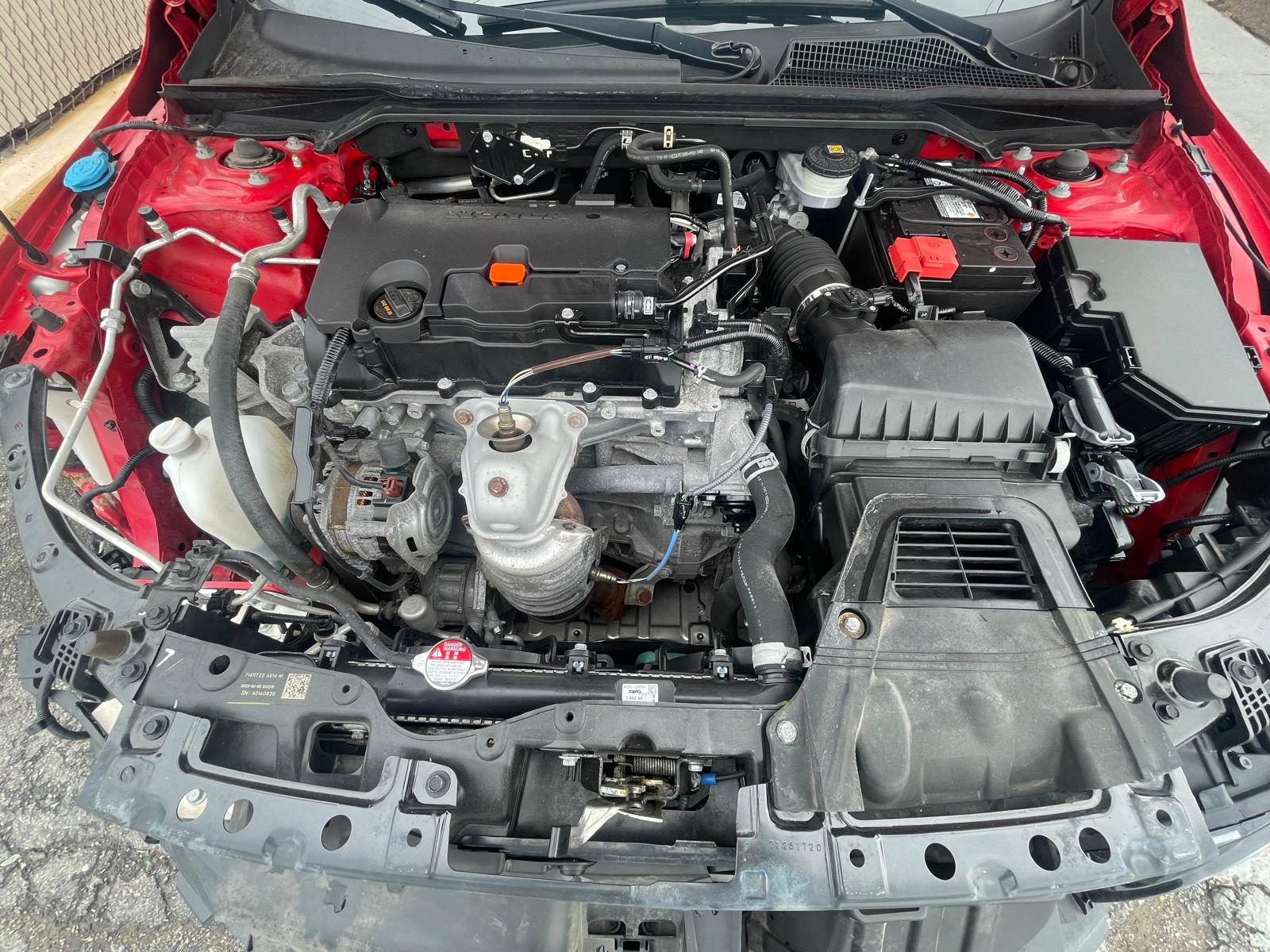 PHOTO-2026-04-15-13-26-12 7.jpg