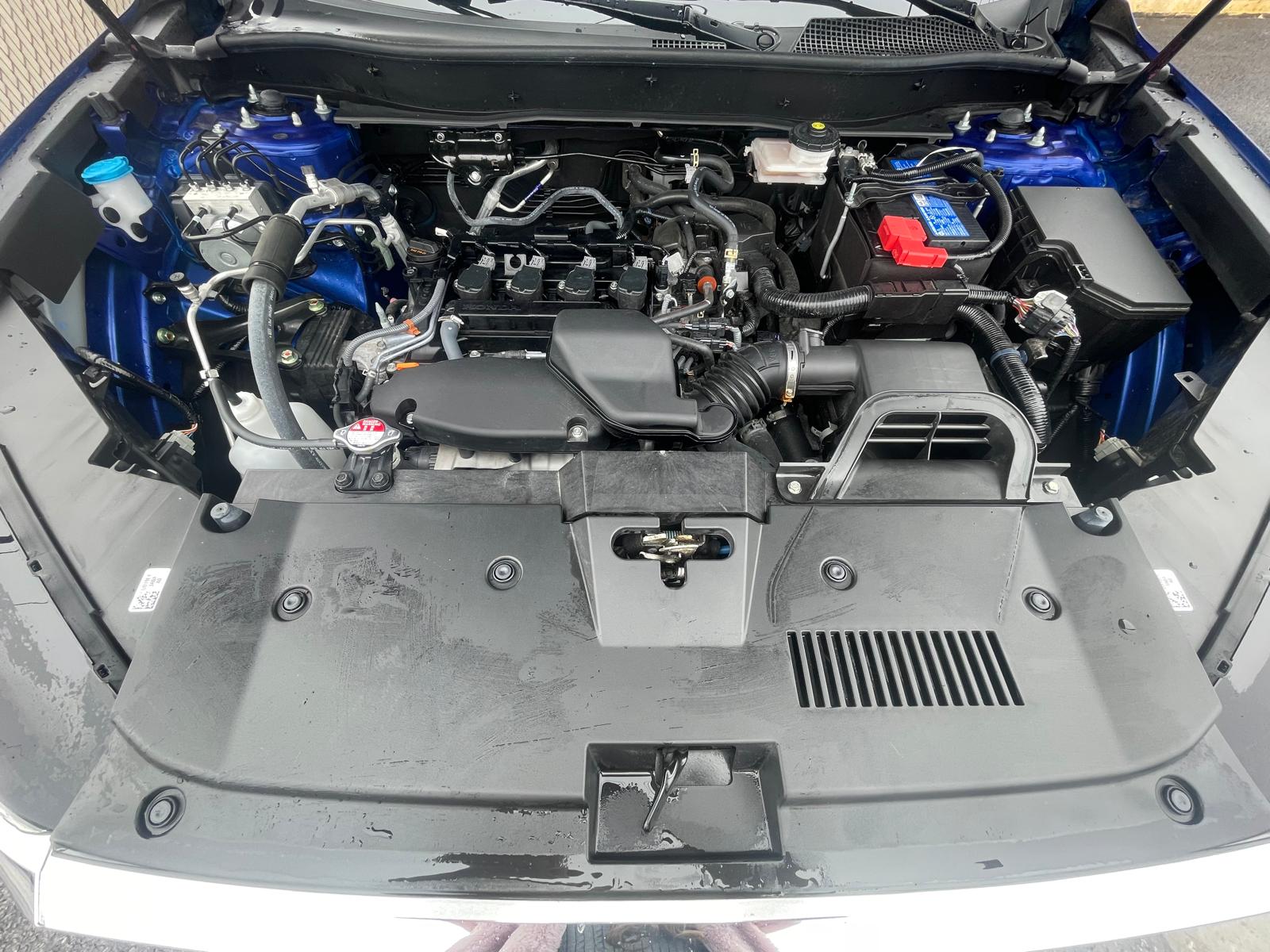 PHOTO-2026-04-16-11-52-20 27.jpg