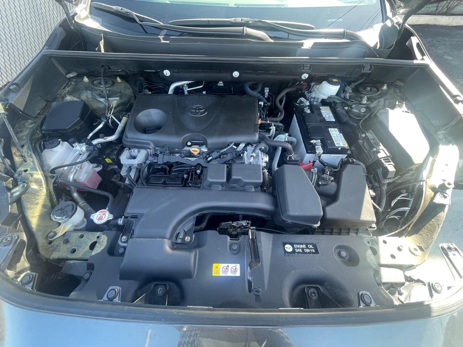 PHOTO-2026-04-17-11-58-10 19.jpg